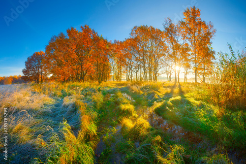 Autumn scenic landscape © alexugalek