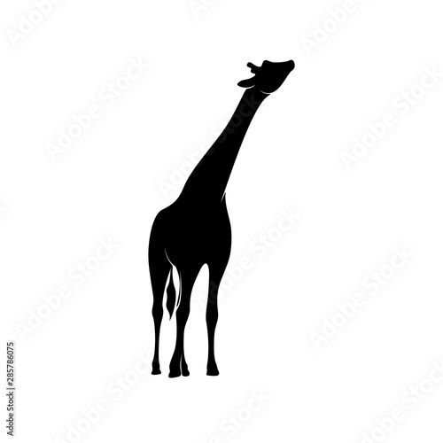 Giraffe Logo Vector. Animal Giraffe Logo Design Template Illustration