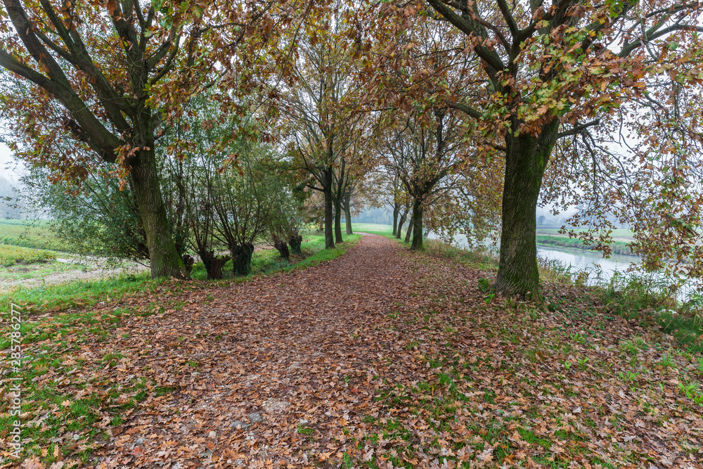 Autumn in the natural park of river Sile Autumn in the natural park of river Sile
