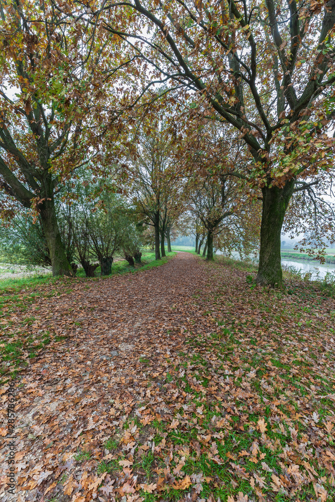Autumn in the natural park of river Sile Autumn in the natural park of river Sile