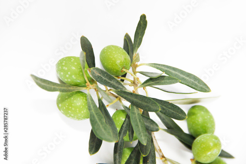 Wallpaper Mural green natural fresh olives on branches with leaves Torontodigital.ca