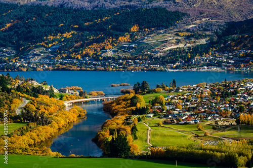 Autumn leaves in New Zealand