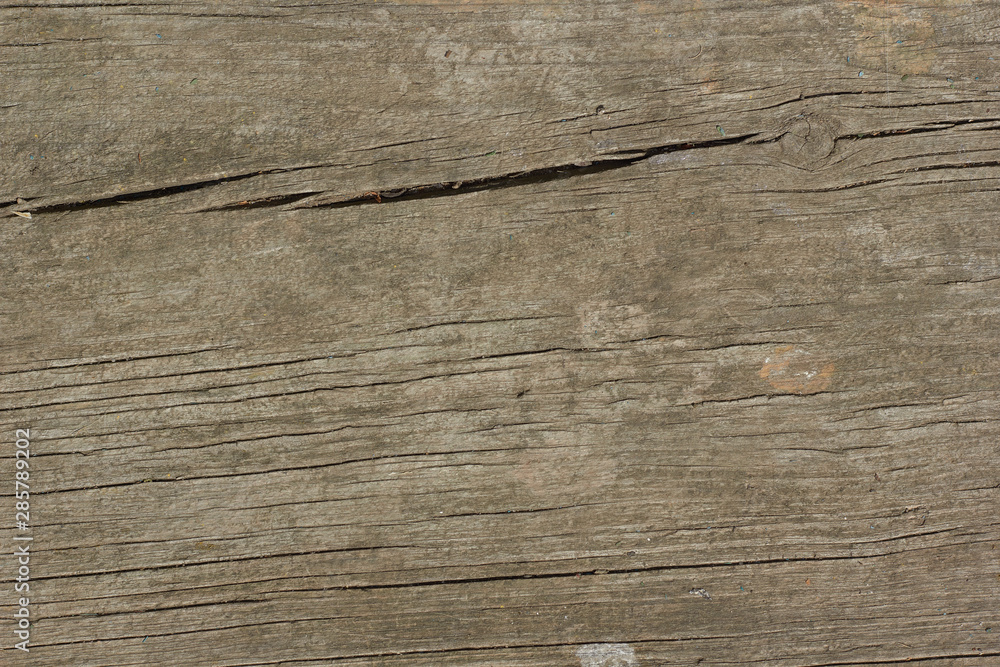 Fototapeta premium texture 