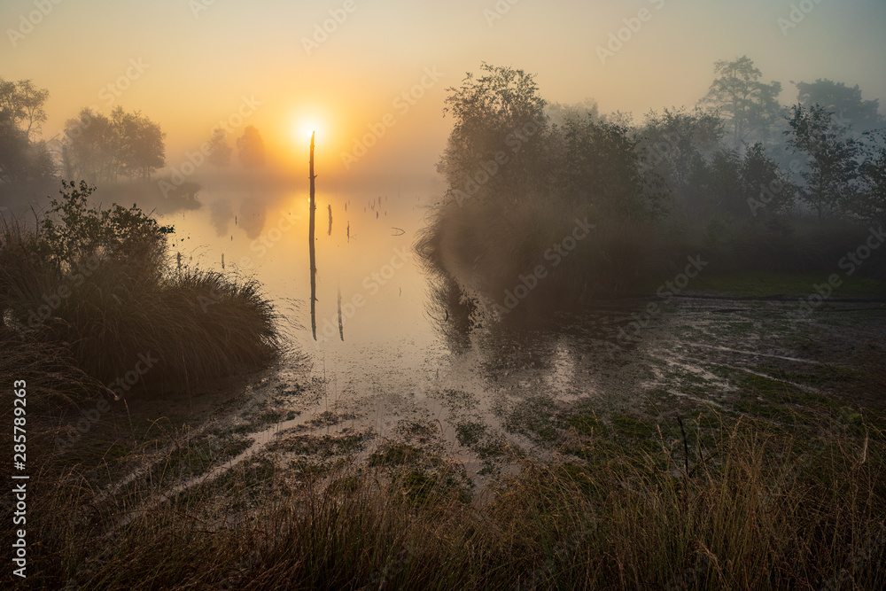 Fototapeta premium Sonnenaufgang im Pietzmoor bei Schneverdingen in der Lüneburger Heide