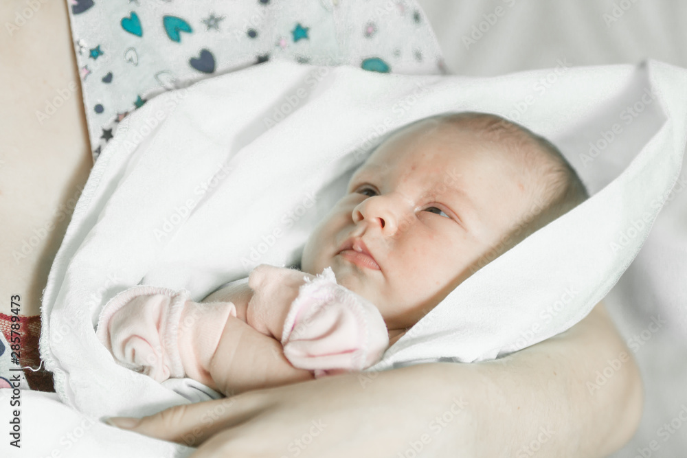 a cute newborn baby closeup portrait in mother's hands a cute newborn baby closeup portrait in mother's hands