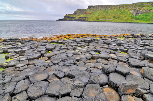 The Giant's Causeway located in County Antrim, Northern Ireland.