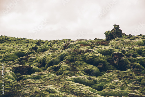 Icelandic lava fields
