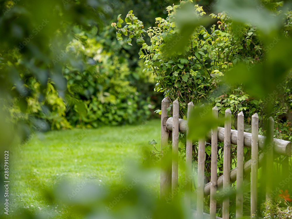 Obraz premium rural wooden fence in a lush green garden .