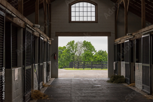 Fotografia Cleaning Time in Horse Barn
