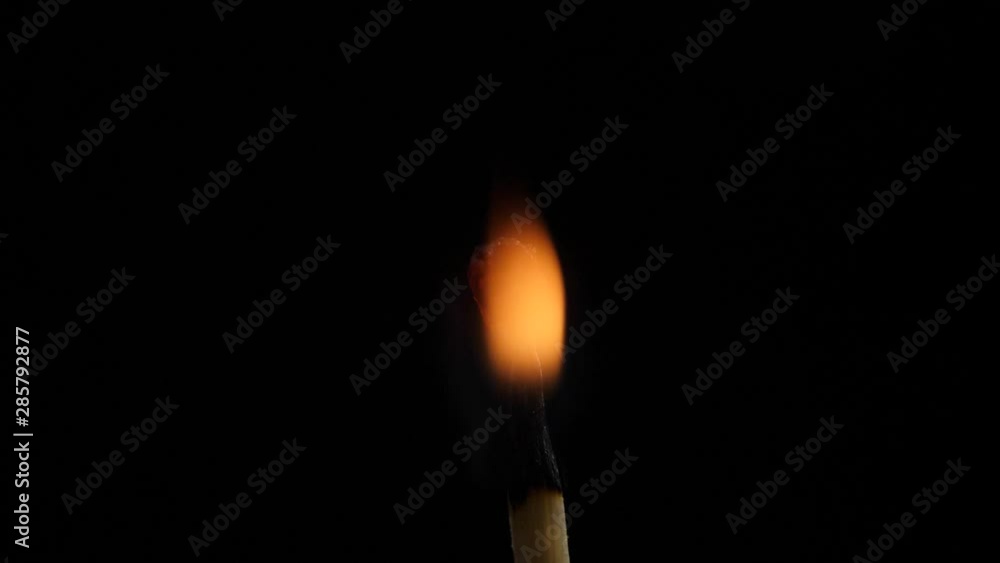 Match lighting and burning till the end and finally disappears from the flame on black background. The match lights up, burns and goes out. Burning match stick lights and then blown out. Match lighting and burning till the end and finally disappears from the flame on black background. The match lights up, burns and goes out. Burning match stick lights and then blown out.