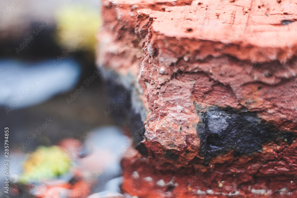 Fototapeta premium stone texture summer heat brick