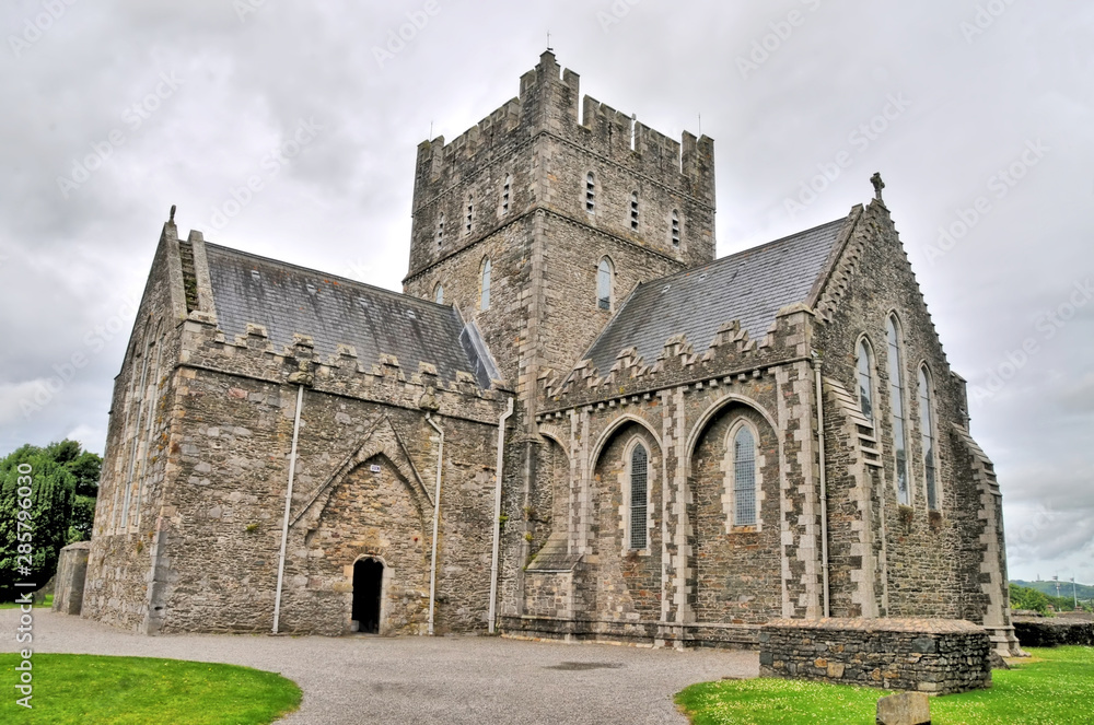 The Cathedral Church of St. Brigid, Kildare in Kildare