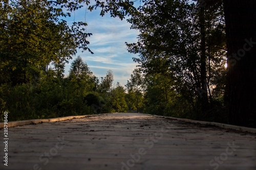 Wallpaper Mural Nature Board Walk Torontodigital.ca