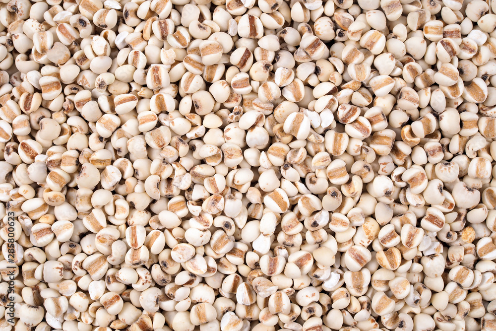 Organic millet grains natural texture for background. Organic millet grains natural texture for background.