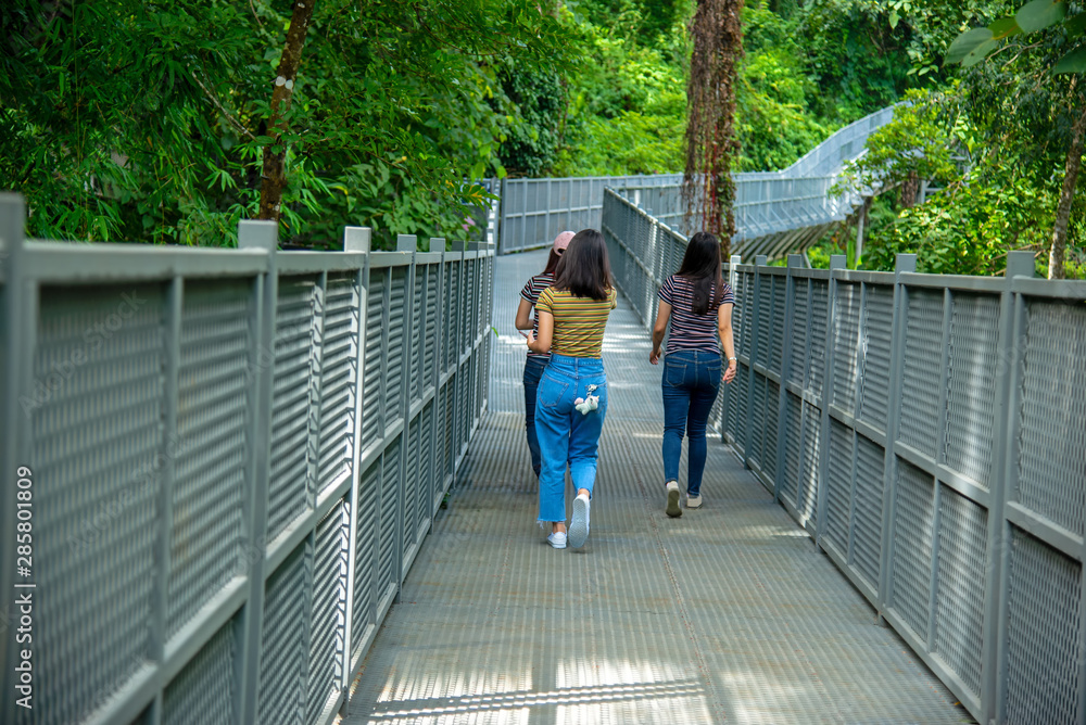 Canopy walkway ,Thailand's longest treetop walkway opens at the Queen Sirikit Botanical Garden. Canopy walkway ,Thailand's longest treetop walkway opens at the Queen Sirikit Botanical Garden.