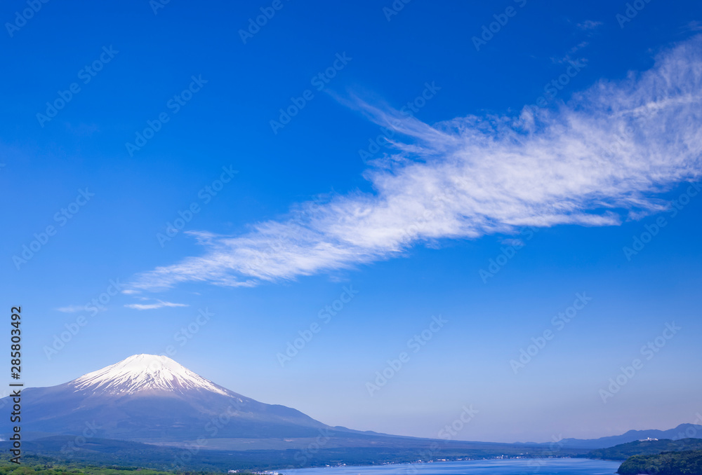 緑の森林と富士山　山梨県