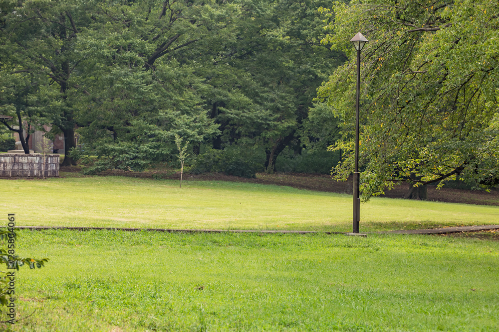 Obraz premium 夏 風景