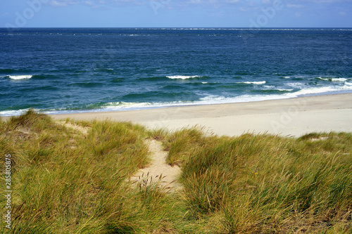 Fototapeta Naklejka Na Ścianę i Meble -  Beach, grassy dunes and blue sea.