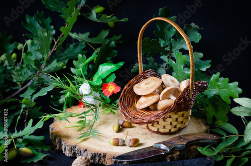 honey mushrooms in a small basket on a pine hemp