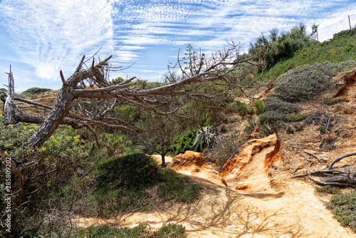 Mesozoikum. Erdmittelalter.