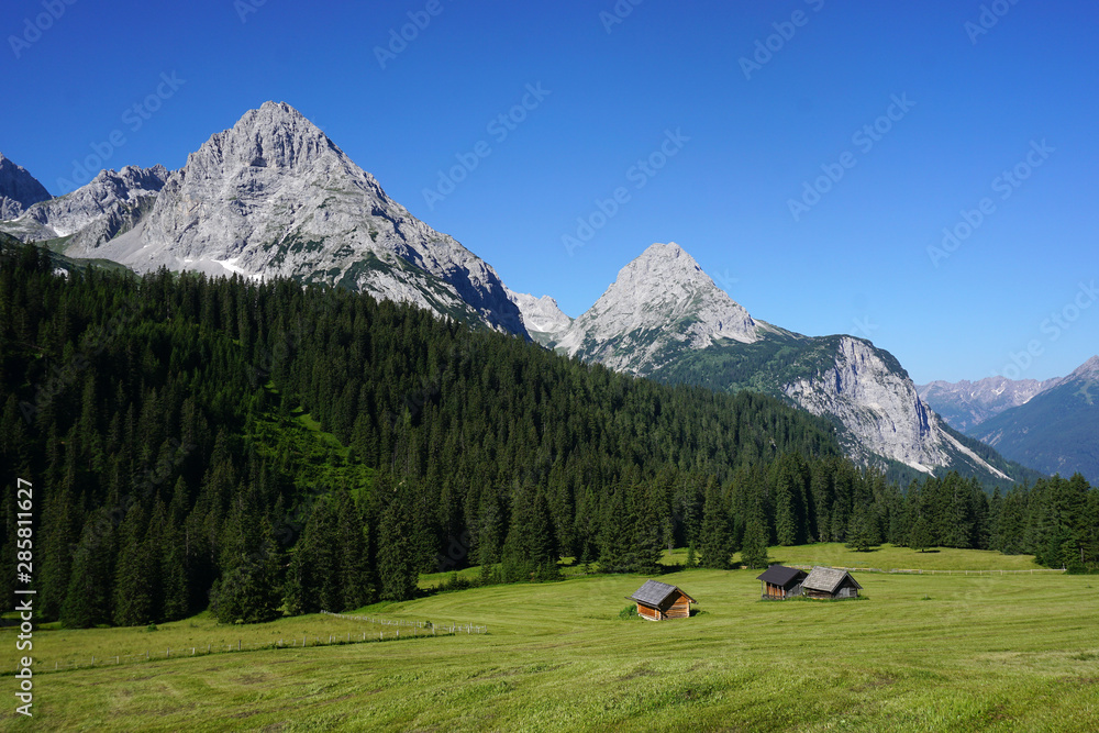 Ehrwalder Alm in Österreich, Tirol, Blick zur Mieminger Kette