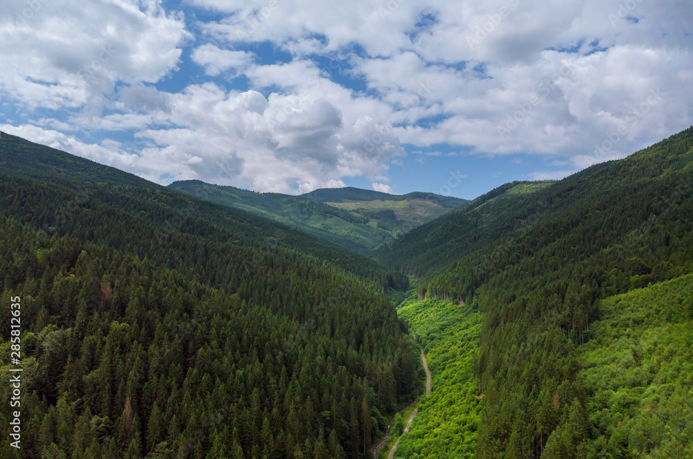 Aerial View Green Grass Summer Mountain In Mountains. View of Carpathians Mountains In Drone Aerial View
