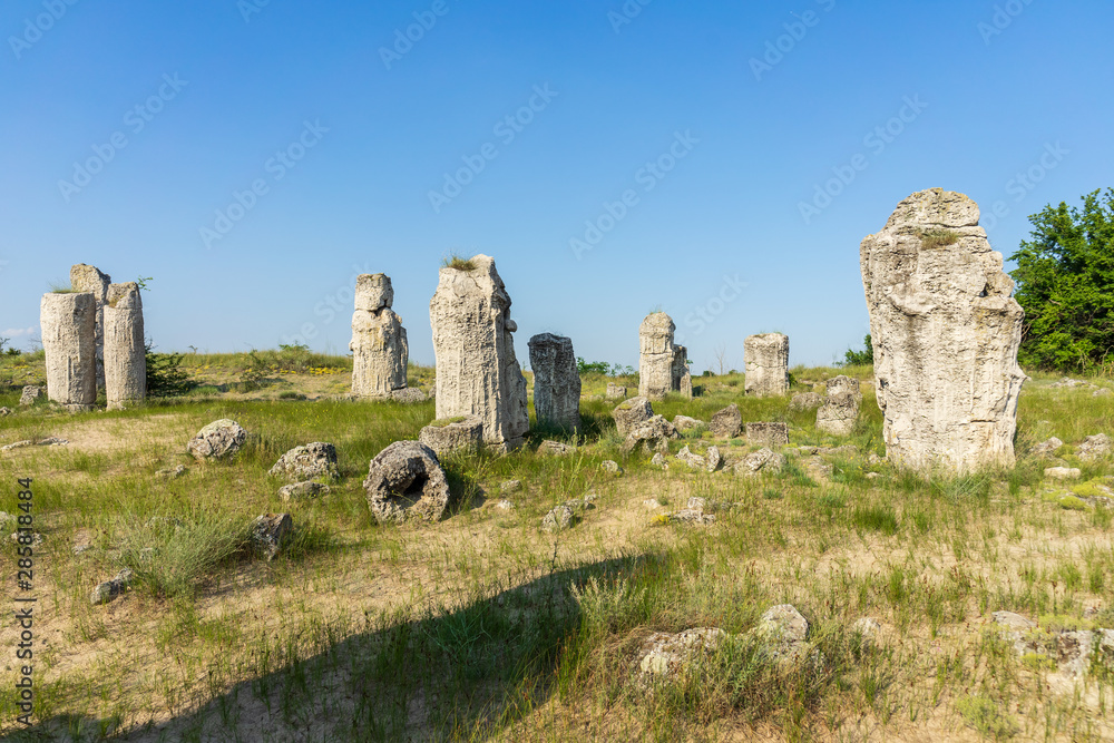 Pobiti Kamani (planted stones), also known as The Stone Desert, is a desert-like rock phenomenon located on the north west Varna Province of Bulgaria.