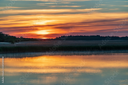Wallpaper Mural Evening sunlight on coast, pink clouds, blue sky reflection on water. Beach in summer. Seaside natural environment. Shore in Laelatu, small island in Estonia. Nature Reserve in North Europe Torontodigital.ca