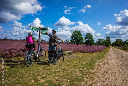 Lüneburger Heide  - Heidschnuckenweg photo