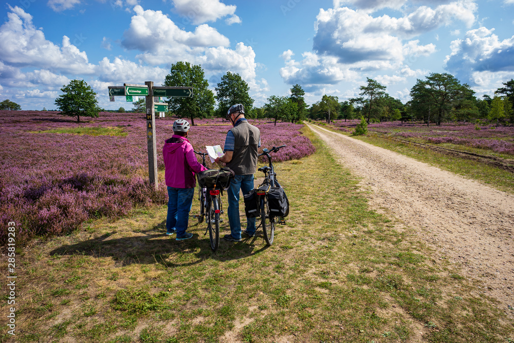 Lüneburger Heide - Heidschnuckenweg Lüneburger Heide - Heidschnuckenweg