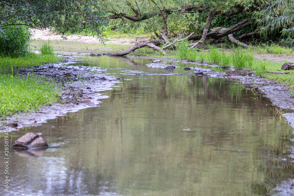 Idyllischer Flusslauf eines Altarms des Rheins mit schönem Flussdelta und Flussmündung bietet ein schönes Naherholungsgebiet für Familien mit Kindern zum Entdecken der Natur und des Wassers Idyllischer Flusslauf eines Altarms des Rheins mit schönem Flussdelta und Flussmündung bietet ein schönes Naherholungsgebiet für Familien mit Kindern zum Entdecken der Natur und des Wassers