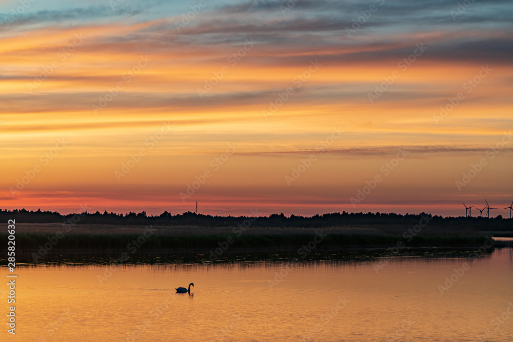 Evening sunlight on coast, pink and golden clouds, swan and sky reflection on water. Beach in summer. Seaside natural environment. Shore in Laelatu, small island in Estonia. Nature Reserve in North Evening sunlight on coast, pink and golden clouds, swan and sky reflection on water. Beach in summer. Seaside natural environment. Shore in Laelatu, small island in Estonia. Nature Reserve in North