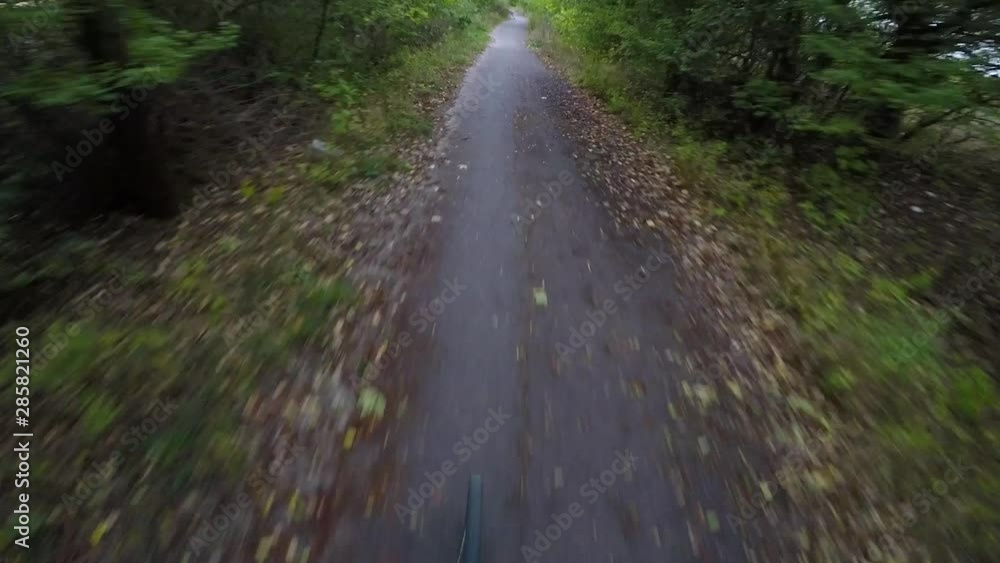 POV man rides a bicycle down a narrow road, then a path through a rural area with trees on sides POV man rides a bicycle down a narrow road, then a path through a rural area with trees on sides