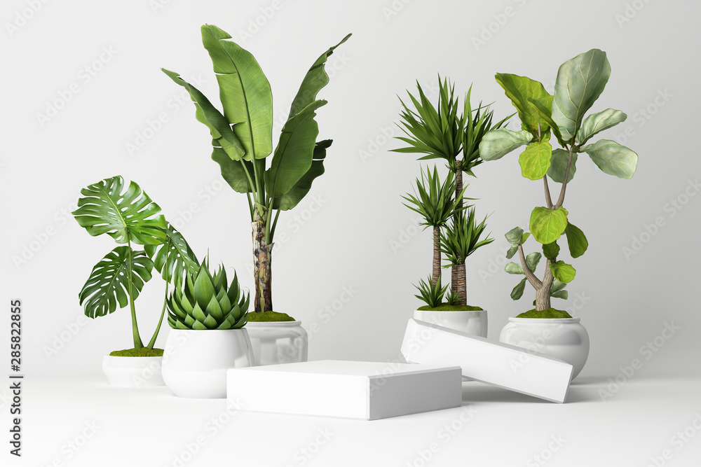 3D render of plant with white vase and product stand on white background