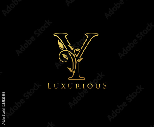 Letter Y Logo Icon . Initial Letter Y Design Vector Luxury Gold Color.Print monogram initials line art sign symbol.