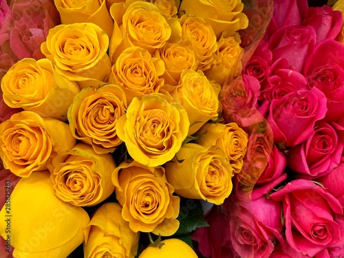 bouquet of yellow and pink roses