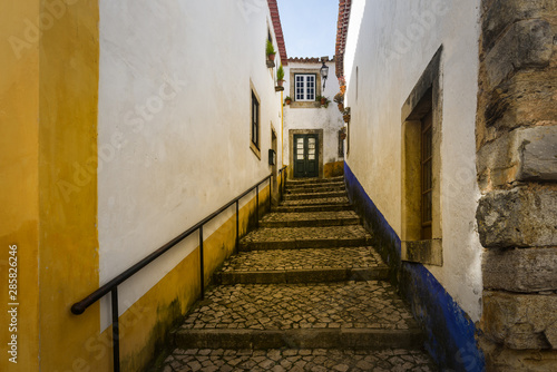Fototapeta Naklejka Na Ścianę i Meble -  white and yellow houses with flowers ,old town Obidos, Portugal