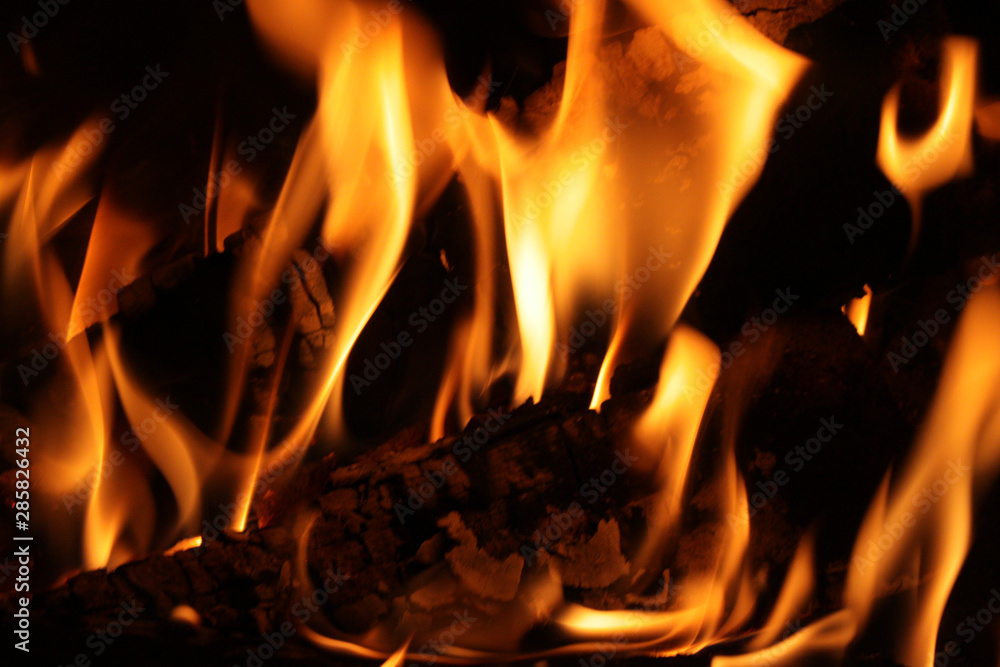 Fototapeta premium Fire flames in the fireplace