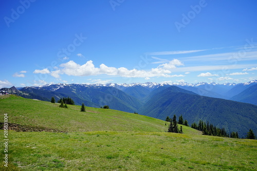 Beautiful snow capped mountains in Olympic National Park in summer in  Washington  near Seattle