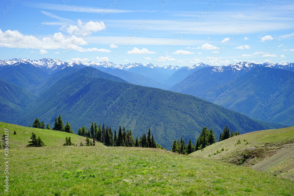 Beautiful snow capped mountains in Olympic National Park in summer in Washington, near Seattle	