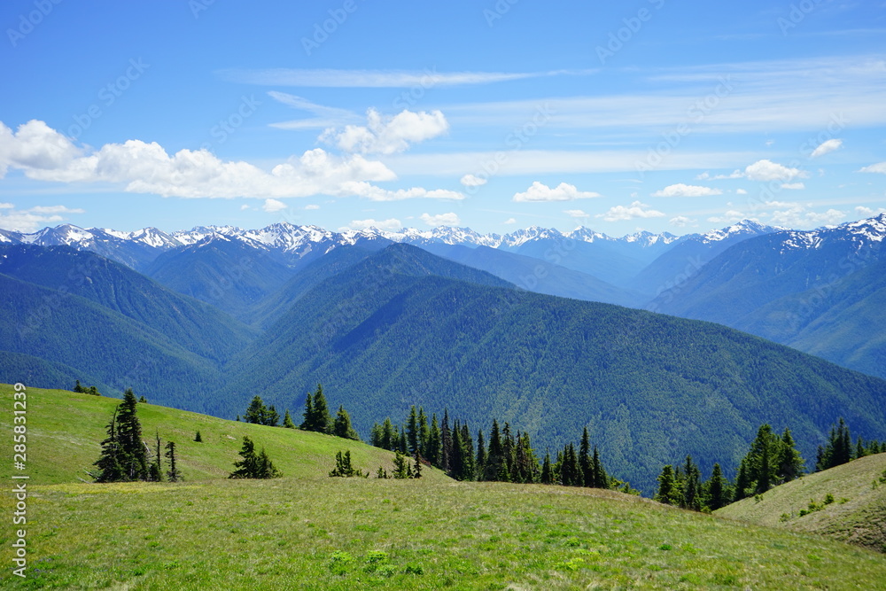 Beautiful mountains in Olympic National Park in summer in Washington, near Seattle	