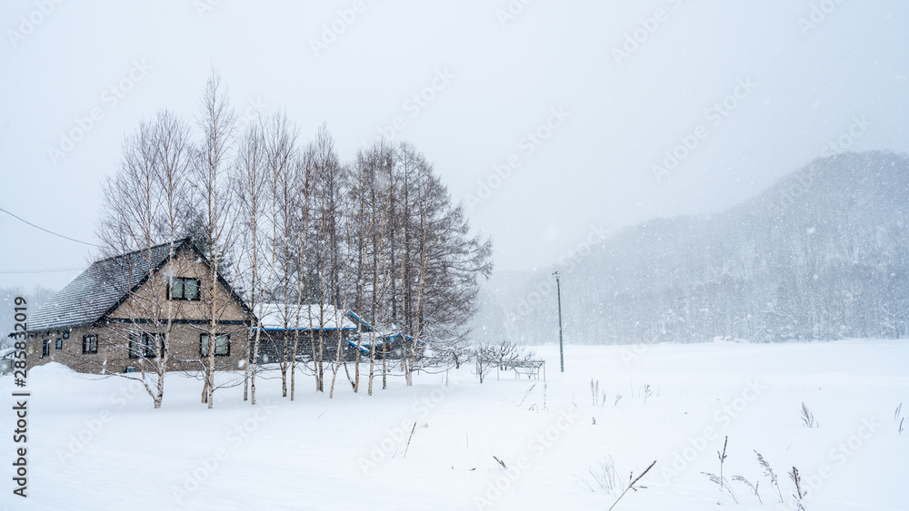 House With Winter Snow Landscape