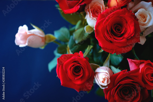 bouquet of roses on blue background