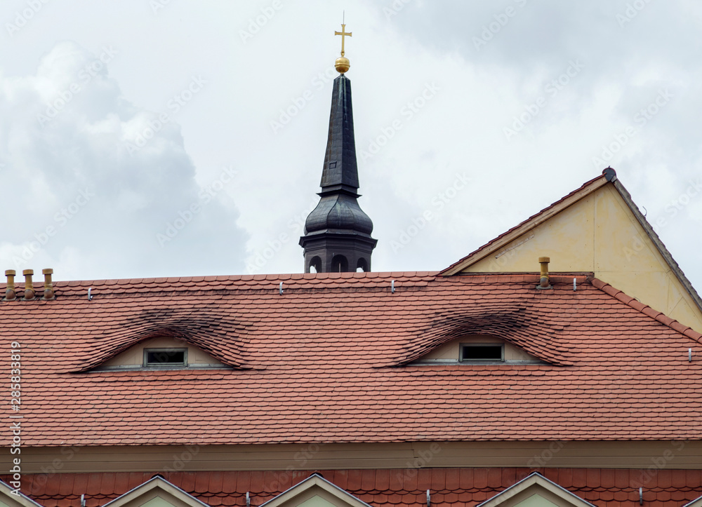 Obraz premium windows in a tiled roof like the eyes