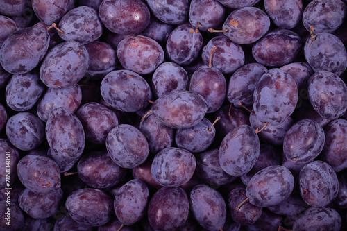 plum prunes fresh lying on the table