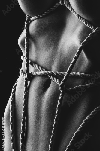 Kinbaku female body tied up with rope