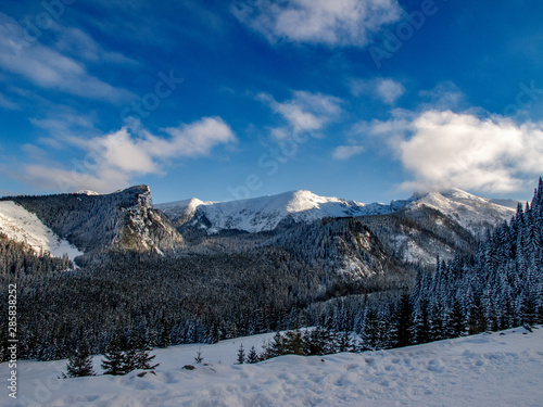 Landscape of beautiful winter.