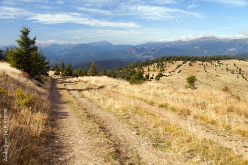 Mount Hoverla or Goverla and unpaved road 