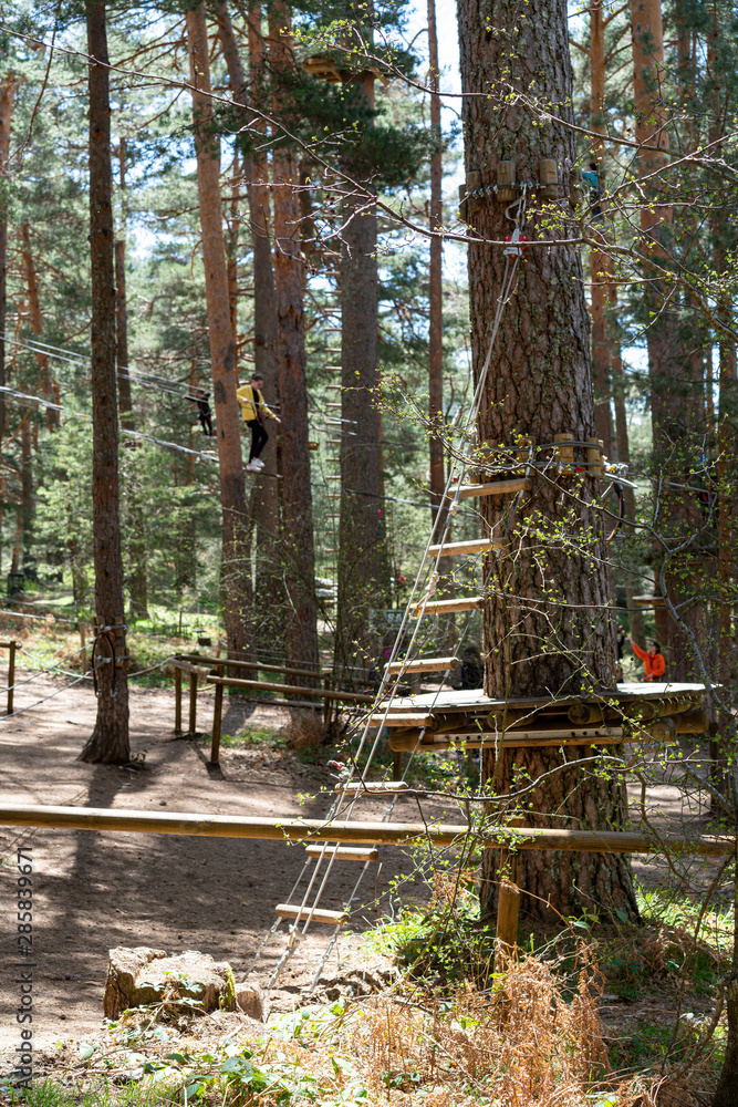 People training in climbing park in sunlight People training in climbing park in sunlight