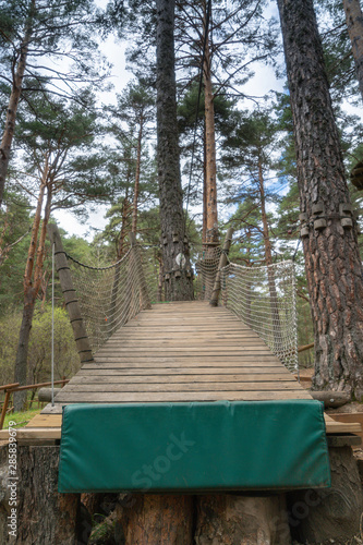 Launching spot for zip line in pine forest